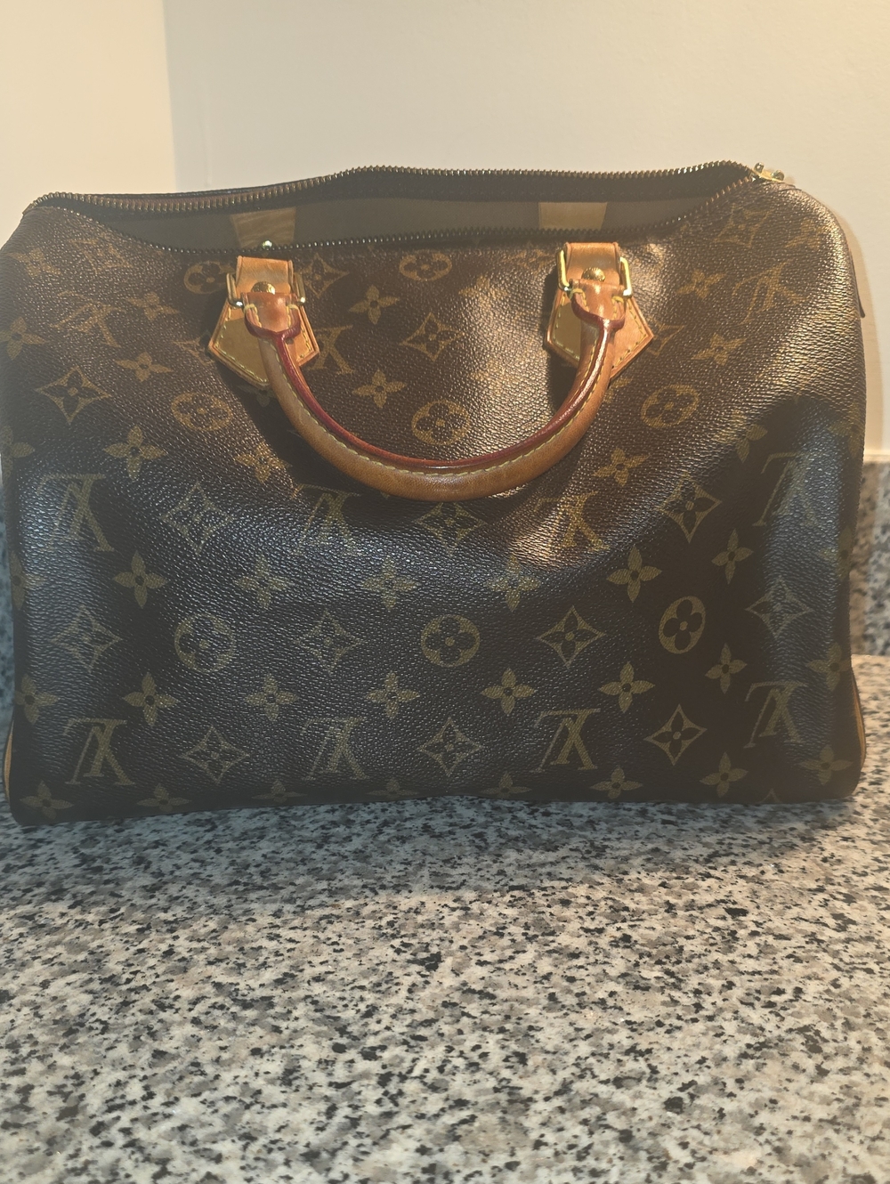 Louis Vuitton Monogram Speedy 30